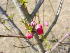 -南宁花花大世界景区