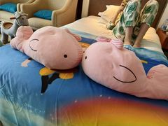 -海口喜来登酒店