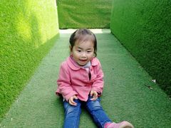 -清溪森林公园