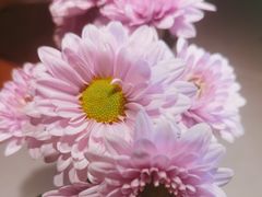 -四川饭店(长白店)