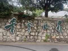 -青青世界