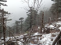 -秦岭风景区