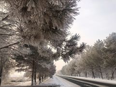 -丝绸之路山地度假区滑雪场