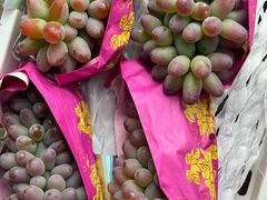 -马陆小张葡萄园农家乐