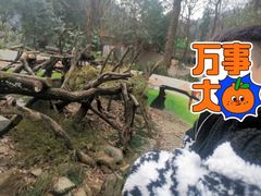 -杭州少年儿童公园