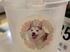 -Husky Go! 哈士奇体验馆·宠物咖啡厅狗咖