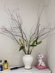 -WENDY·温迪皮肤管理