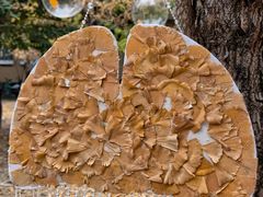 -福州大学(旗山校区)