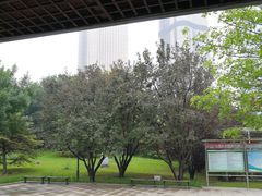 -大望京公园