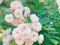 -渝信川菜(长安店)