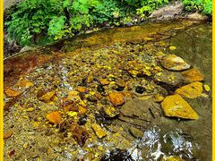 -玉渡山自然风景区