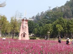 -顺峰山公园