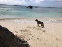 -白沙滩