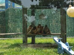 -大连森林动物园