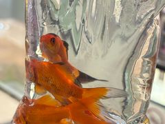 -快乐街区(长沙方圆荟店)