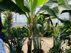 -国家植物园南园