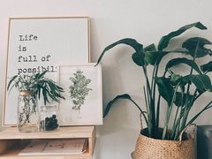 -Hello·生日蛋糕·下午茶·甜品台茶歇(瑞安东山店)