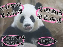 -成都动物园