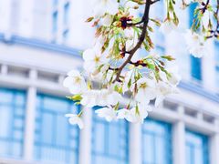 -公益图书馆(江南大学店)