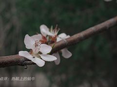 -陶然亭公园