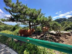 -九宫山风景区
