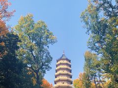 -灵谷景区