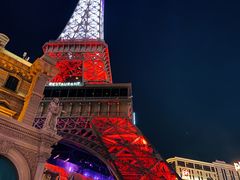 -拉斯维加斯永利酒店