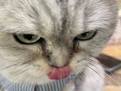 -小时光咖啡馆(北锣鼓巷店)