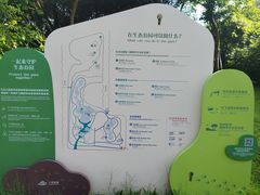 -福田红树林生态公园