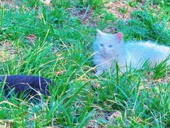 -长辛店二七公园