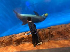 -华夏文旅海洋公园