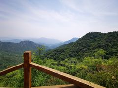 -大岭沟猕猴桃谷风景区