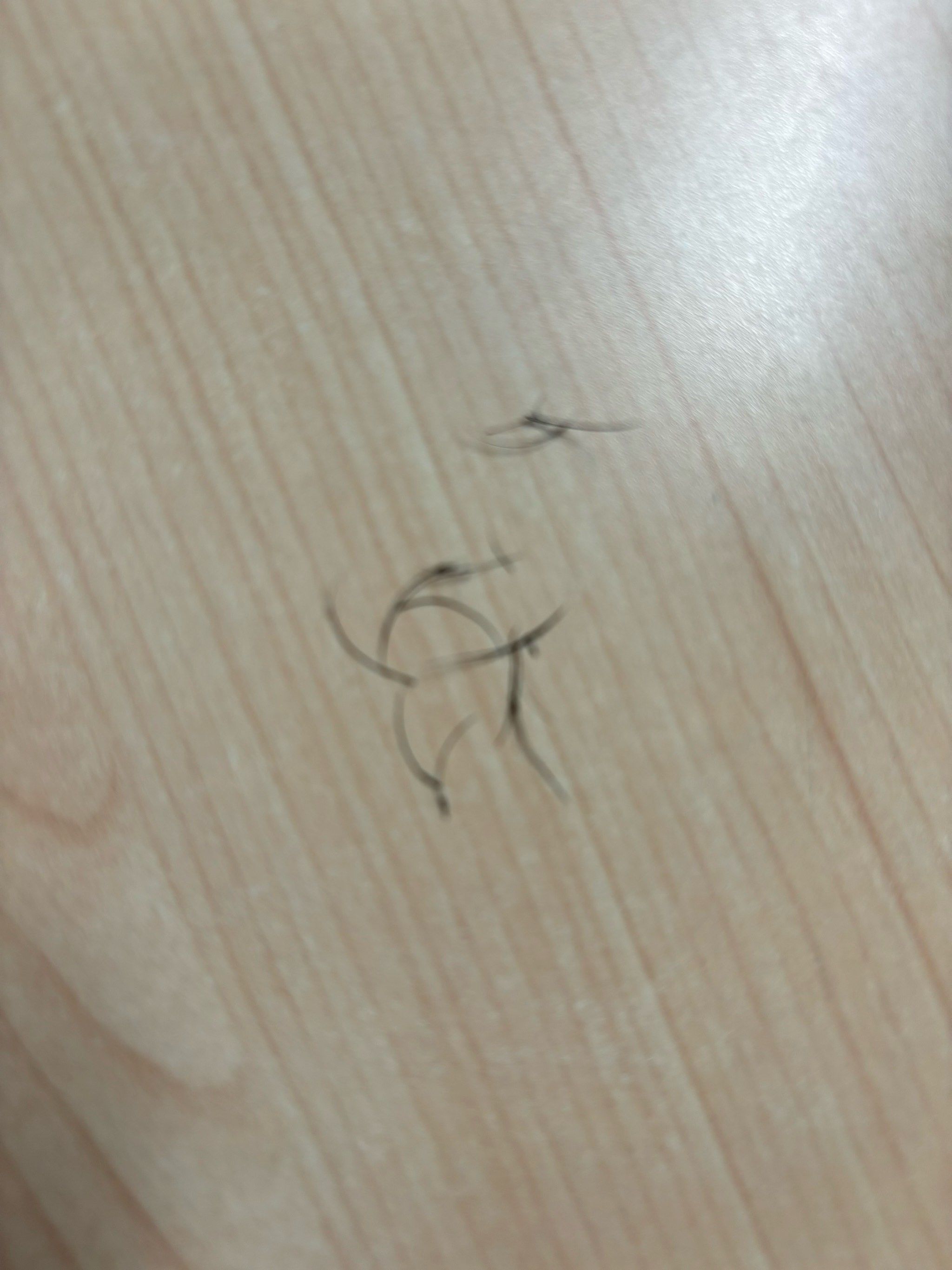 睫毛掉的很呀