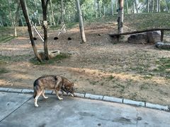 -北京野生动物园