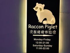 -浣熊柯尔鸭土拨鼠·电玩咖