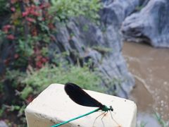-百里山水画廊乌龙峡谷