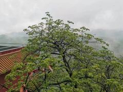 -照金香山旅游景区