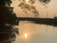 -大湾区中央湿地公园