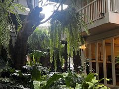 -Fern Forest Cafe