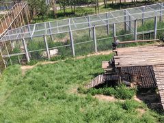 -青藏高原野生动物园