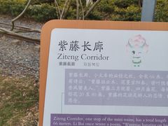 -径山花海