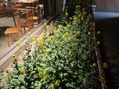 -黄山老妈·土菜(碧桂园店)