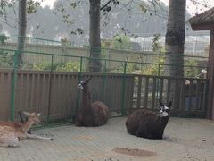 -北戴河集发农业梦想王国