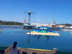 -秦皇岛乐岛海洋王国