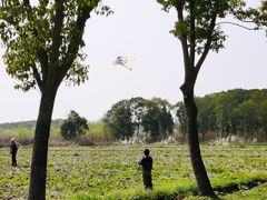 -广富林郊野公园