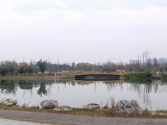 -白鹭湾湿地公园