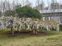 -堤角公园