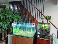 -繁花足道(梅江店)