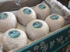 -西郊国际农产品交易中心