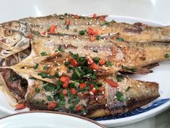 葱煎刁子鱼-海燕酒店(惠济路店)